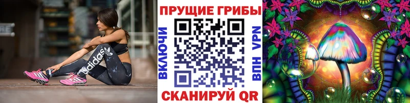 blacksprut ссылки  Луховицы  Галлюциногенные грибы ЛСД 